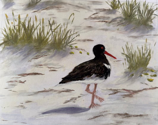 Oystercatcher, All the Pretty Girls Walk Like This